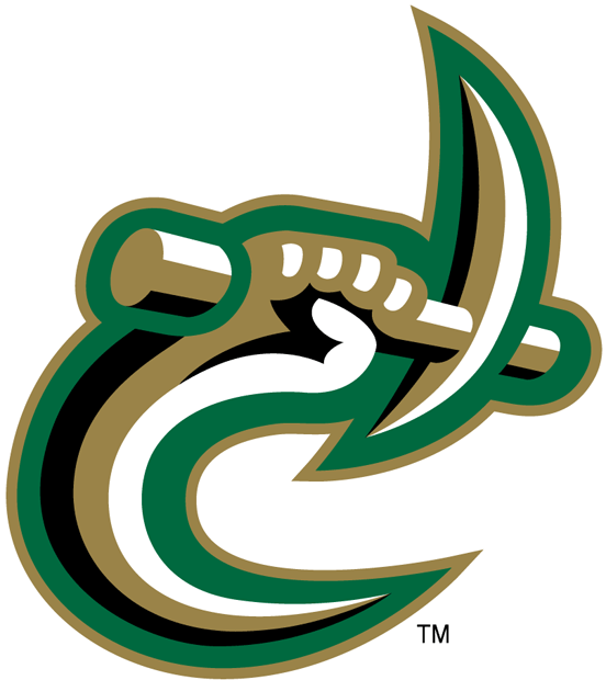 Charlotte 49ers 1998-Pres Secondary Logo diy iron on heat transfer
